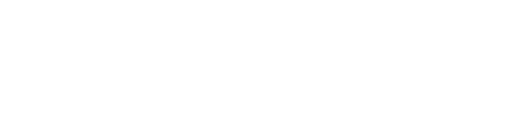 OGS-DTI